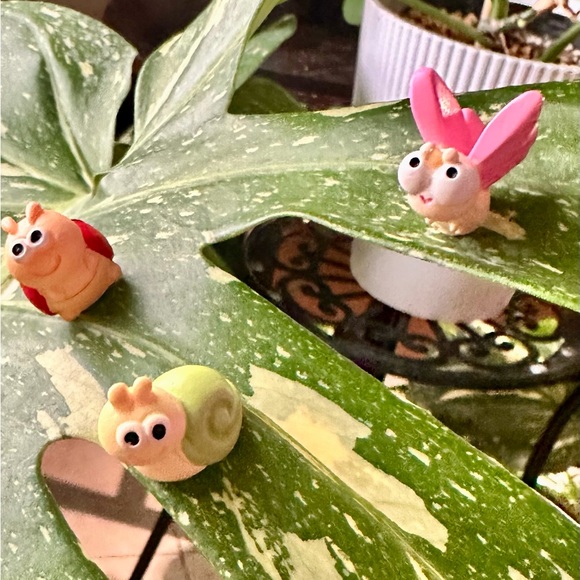 🍃10 pack PLANT MAGNETS!🍃 - Picture 11 of 16